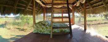 Everglades Chickee Cottage & Bungalow - Ochopee المظهر الخارجي الصورة
