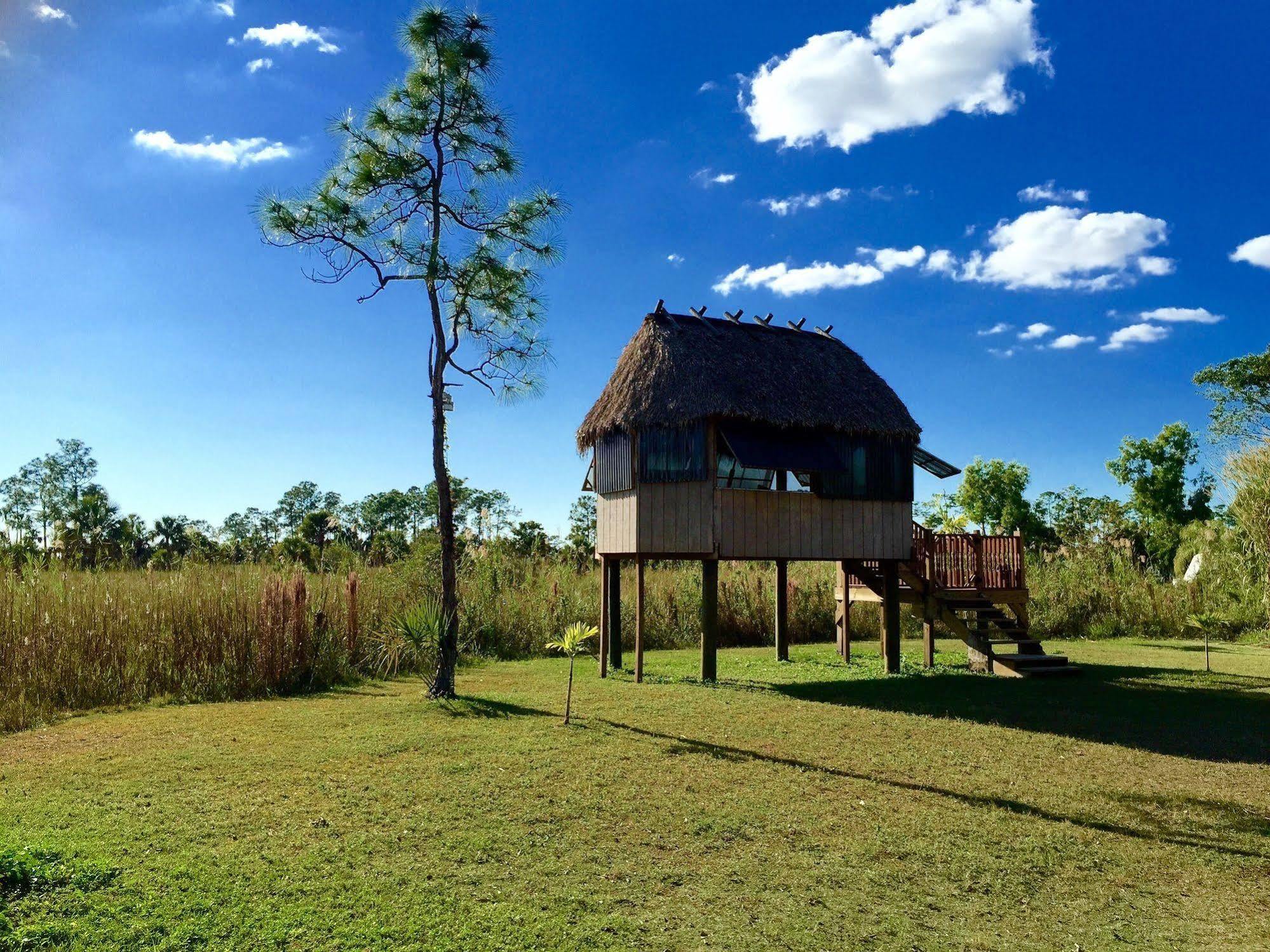 Everglades Chickee Cottage & Bungalow - Ochopee المظهر الخارجي الصورة
